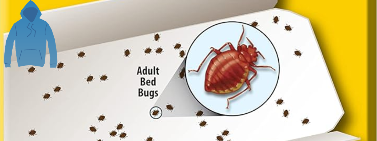 Say Goodbye to Bedbugs on Hoodies