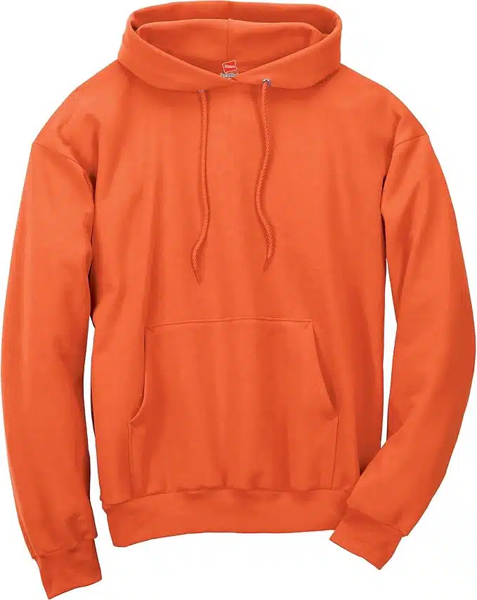 Hanes Men's EcoSmart Fleece Hoodie